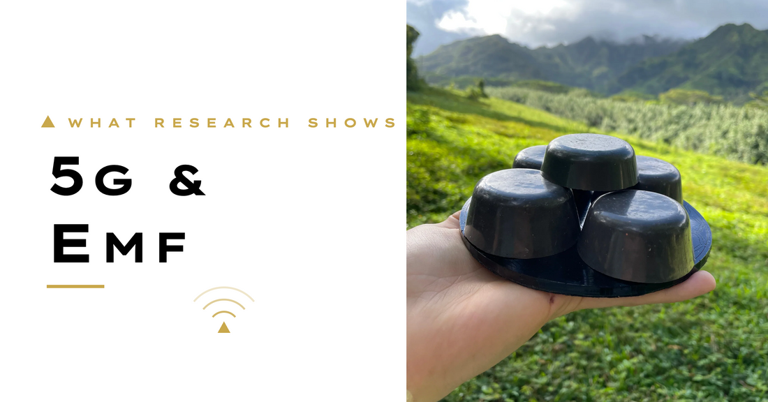 5G and EMF protection research